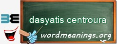 WordMeaning blackboard for dasyatis centroura